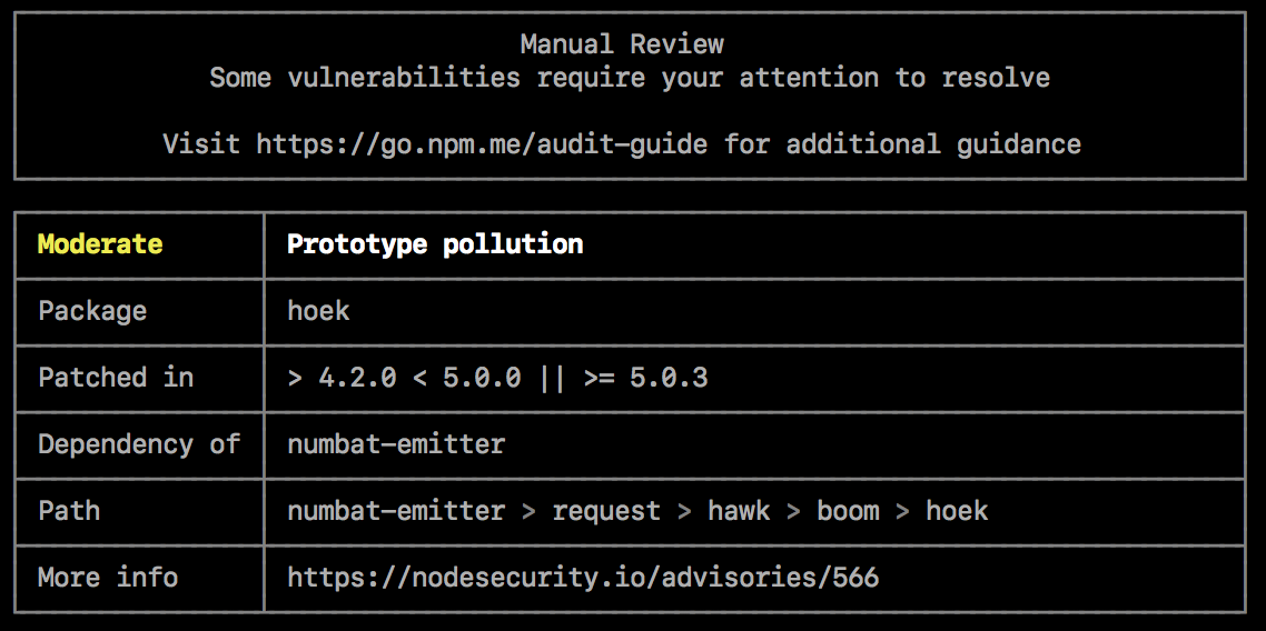 npm audit adibidea